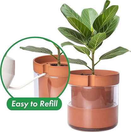 Phoenix Vine 8 Inch Self Watering Planter Pot, Terracotta Clay Pot with Glass Reservoir for Indoor Plants, Herbs, Flowers, Set of 1, 52-A-H-1