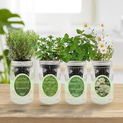 Hydroponic Mason Jar Organic Herbal Tea Seed Starter Kits - Herbal Tea Garden Growing Kits, Gardening Gift, Grow Your Own Herbal Teas Indoor (Chamomile, Mint, Lemon Balm, Rosemary)