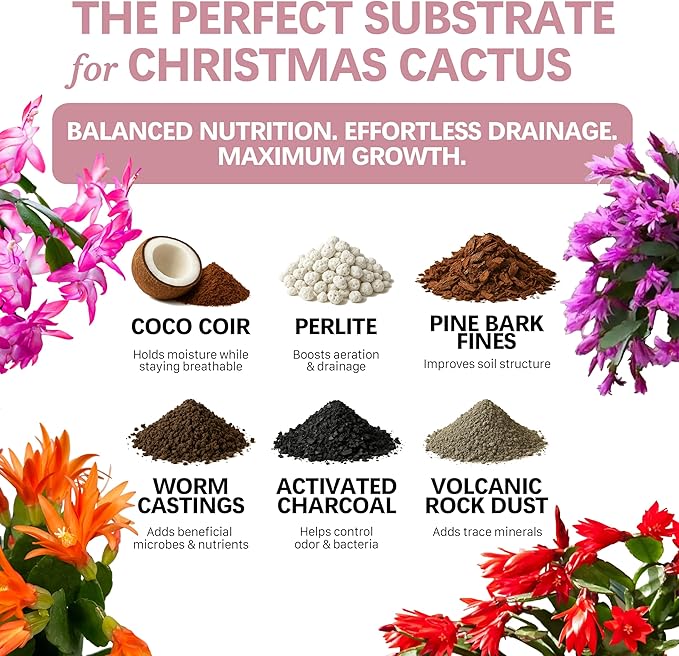 Premium Christmas Cactus Soil – Organic, Nutrient-Rich, Optimal-Draining Potting Mix for Schlumbergera – Promotes Healthy Roots, Balanced Moisture & Vibrant Blooms – Ready to Use (2 QTS)