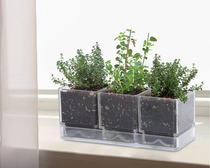 D'vine Dev Herb Garden Planter Set, Plastic Plant Pots with Drainage and Saucer, Indoor Succulent Cactus Vegetable Pot for Windowsill, Garden Balcony, Clear, Set of 2, 76-V-D-2