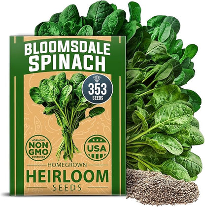 HOME GROWN 𝗨𝗦𝗔 𝗣𝗥𝗘𝗠𝗜𝗨𝗠 Bloomsdale Spinach Seeds Pack – 353 Heirloom 𝗡𝗢𝗡-𝗚𝗠𝗢 Seeds – High Germination Spinach for Indoor, Outdoor, Hydroponic Planting & Home Gardens (Spinacia oleracea)