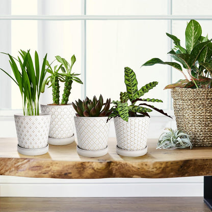 EFISPSS Ceramic Plant Pots Indoor, 5 Inch Planters with Drainage Holes and Ceramic Tray, Relief Design Flower Planter, Desktop Office Windowsill Decoration Gift Set of 4, White