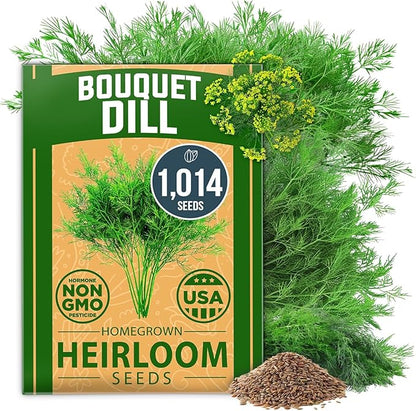 HOME GROWN 𝗨𝗦𝗔 𝗣𝗥𝗘𝗠𝗜𝗨𝗠 Dill Seeds for Planting 1,014 Bouquet Dill Seeds 𝗡𝗢𝗡-𝗚𝗠𝗢 and Heirloom Herb Seeds for Planting Outdoors, Grow Your Fragrant Dill Herb Garden (Anethum graveolens)