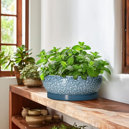 Bonsai Pots 10 Inch - Ceramic Succulent Planters with Drainage Hole and Saucer, Succulent Pots for Indoor Outdoor, Shallow Flower Pot, Round Planter, Patio Decor, Housewarming Gifts, Blue