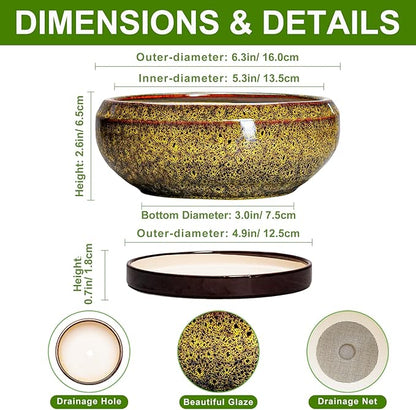 Small Bonsai Pots - 6 Inch Ceramic Succulent Planters with Drainage Hole and Saucer, Shallow Round Planter Indoor Outdoor, Cactus Succulent Pots, Living Room Decor, Plant Lover Gift, Yellow