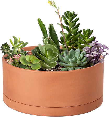 D'vine Dev 10 Inch Succulent Terracotta Shallow Pot with Drainage Hole and Saucer, Round Cylinder Planter Pot for Plant Flower, 40-Y-B-0