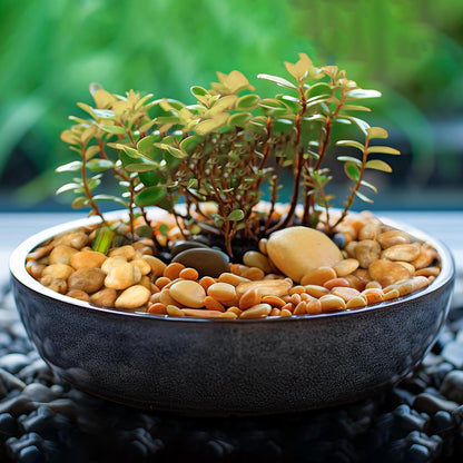 2 LBS River Rocks, StoneCreek, Decorative Garden Stones for Plant Landscaping, Polished Gravel Filler Pebbles for Home Decoration, Vases, Succulents, Flower Beds and Fish Tanks (Pale Yellow, Medium)