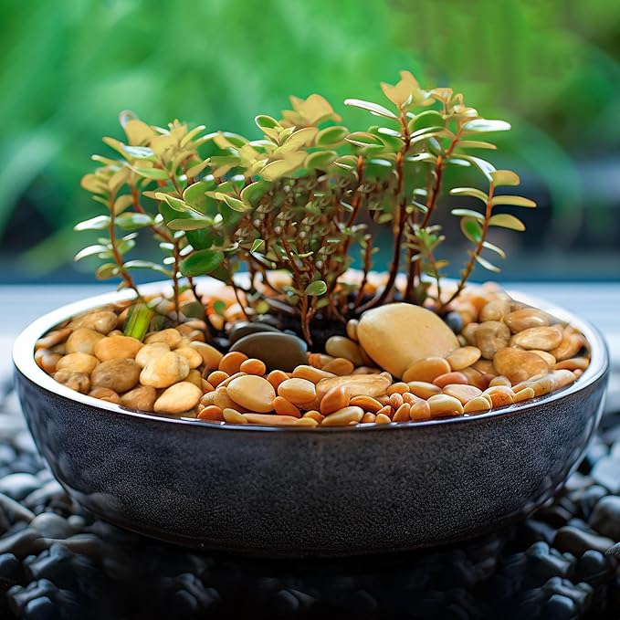 6 LBS River Rocks, StoneCreek, Decorative Garden Stones for Plant Landscaping, Polished Gravel Filler Pebbles for Home Decoration, Vases, Succulents, Flower Beds and Fish Tanks (Pale Yellow, Medium)