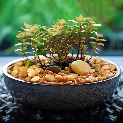 6 LBS River Rocks, StoneCreek, Decorative Garden Stones for Plant Landscaping, Polished Gravel Filler Pebbles for Home Decoration, Vases, Succulents, Flower Beds and Fish Tanks (Pale Yellow, Medium)