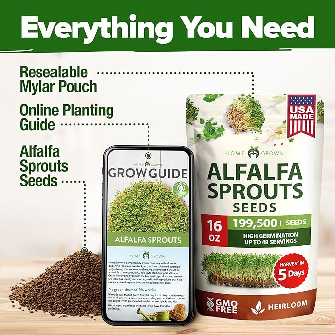 HOME GROWN 𝗨𝗦𝗔 𝗣𝗥𝗘𝗠𝗜𝗨𝗠 Alfalfa Sprout Seeds 16oz Bulk Pack with Thousands of Seeds 𝗡𝗢𝗡-𝗚𝗠𝗢 Alfalfa for Sprouting & Microgreens Indoor Outdoor Growing Resealable Bag High Germination