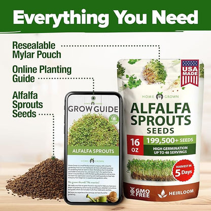 HOME GROWN 𝗨𝗦𝗔 𝗣𝗥𝗘𝗠𝗜𝗨𝗠 Alfalfa Sprout Seeds 16oz Bulk Pack with Thousands of Seeds 𝗡𝗢𝗡-𝗚𝗠𝗢 Alfalfa for Sprouting & Microgreens Indoor Outdoor Growing Resealable Bag High Germination