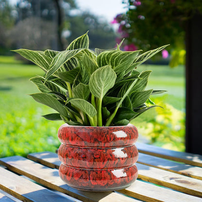 Ceramic 6 inch Plant Pot - Planter for Indoor Plants with Drainage Hole, Flower Pots for Orchid, Succulent,Outdoor Plants, Modern Glaze Planters for Home Office Decor Gift