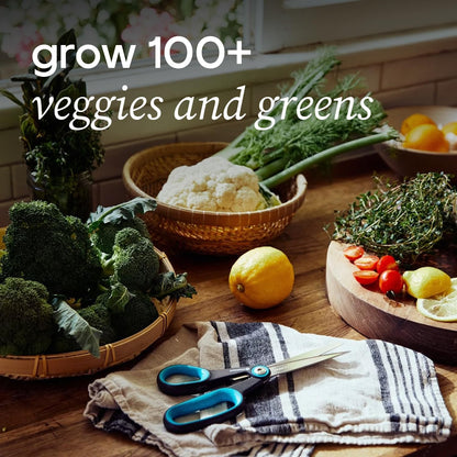 Farmstand Starter Kit with Glow Rings and 24 Seedling Credits | Medium Hydroponic Growing System Kit | Vertical Garden Planter Tower | 4ft 10in Tall