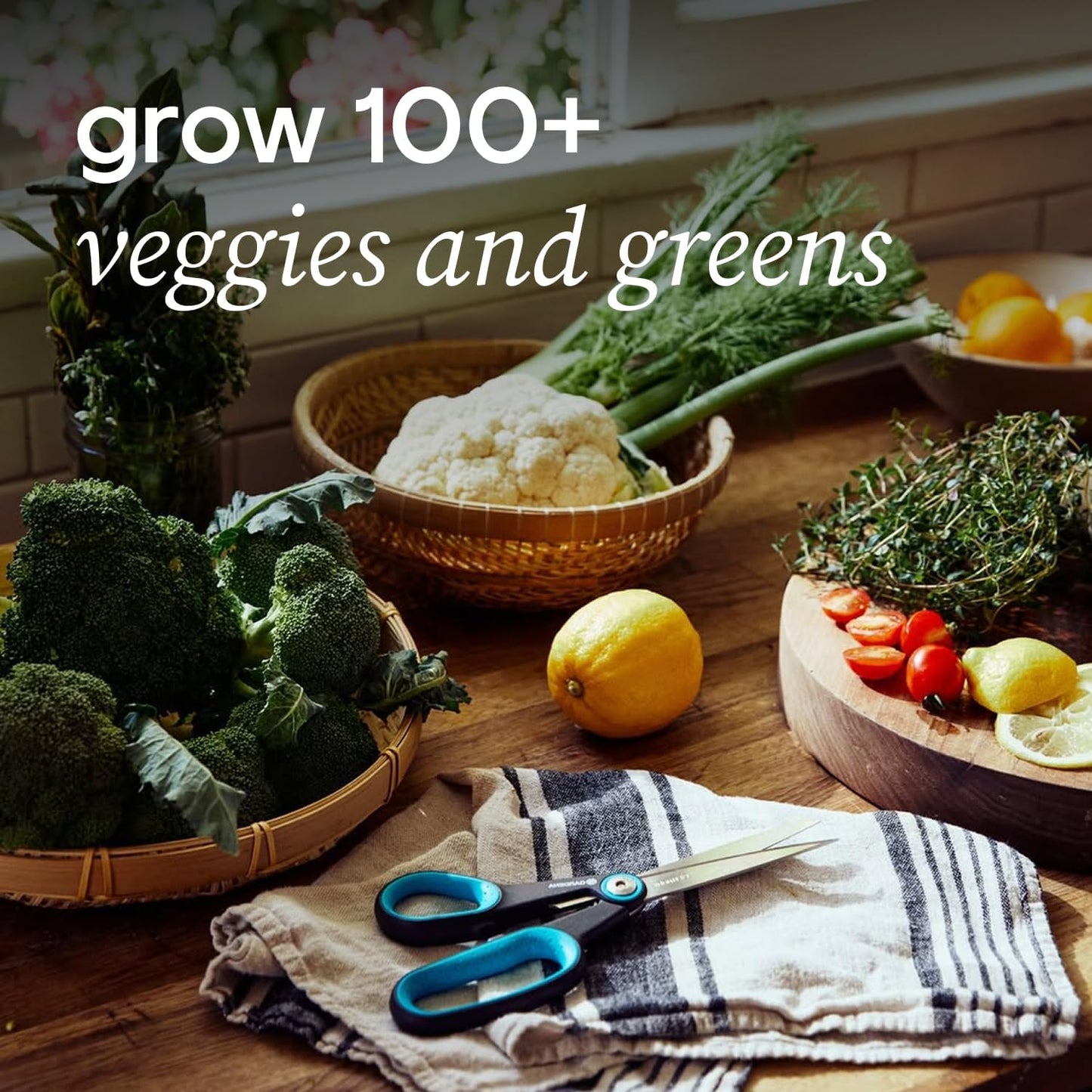 Farmstand Starter Kit with Glow Rings and 12 Seedling Credits | Tiny Hydroponic Growing System Kit | Vertical Garden Planter Tower | 3ft 8in Tall