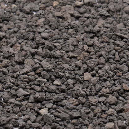 Volcanic Rock for Plants. Black Color Lava Rock. 1/5 Inch - 10 lbs for Potting Soil, Succulents, Pots, Plants, Gardening, Indoor, Crafting, Vase Fillers (Mini, Horticultural - Black Lava, 10)