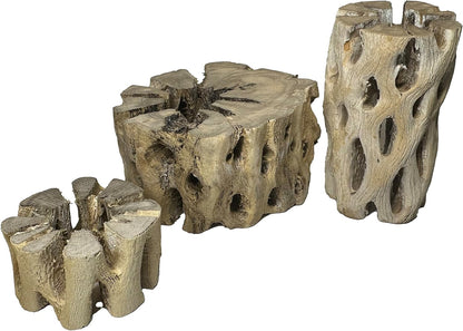 3 Natural Cholla Wood Air Plant Display Holders Tiered 1, 2 & 3 inch Individually Unique Round Decorative Stands