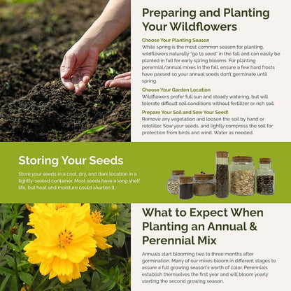 Eden Brothers Ole Yeller Wildflower Mixed Seeds for Planting, 5 lb, 2,400,000+ Seeds with African Marigold, Sunflower | Attracts Pollinators, Plant in Spring or Fall, Zones 3, 4, 5, 6, 7, 8, 9, 10