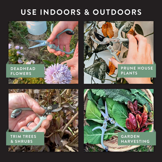 Modern Sprout Hand Pruners & Shears Set - Lightweight Gardening Tools W/Easy Lock - Sharp Carbon Steel Blades -Rust Resistant Scissors for Herbs, Flowers - Reusable Holster - Lavender