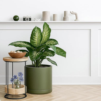 D'vine Dev 12 Inch Ceramic Planter Pot with Drainage Hole and Saucer, Indoor Cylinder Round Planter Pot, Olive, 94-O-F-J