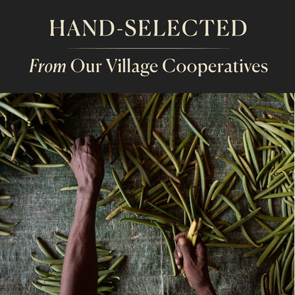 10 Organic Madagascar Whole Vanilla Beans, Grade A Pods, Premium Vanilla Beans for Making Extract & Baking - Cook’s