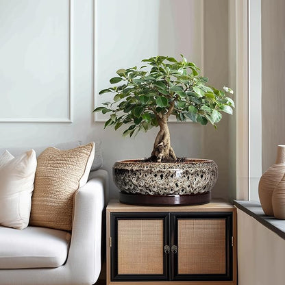 Bonsai Planter 13 Inch - Large Ceramic Succulent Planters, Shallow Plant Pot Indoor with Drainage Hole and Tray, Bonsai Pot, Round Bowl Planter Outdoor, House Decor, Housewarming Gift, White