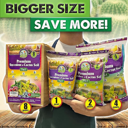 DUSPRO Succulents Soil Potting Mix – 7 in 1 Ingredients Well-Draining, Nutrient-Rich Cactus Potting Soil for Succulents and Cacti, Indoor & Outdoor Use, Ready to Use, Supports Healthy Root Growth, 4QT
