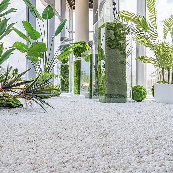 15lbs White Rocks, 3/8 Inch Small White Pebbles for Plants, Vase, Garden, Decorative Pea Gravel for Landscaping, Polished