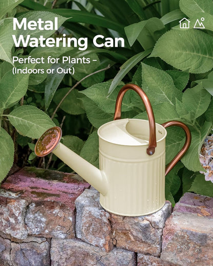 Bamworld Watering Can for Indoor Outdoor Plant Metal Watering Can with Removable Spout Embossd Design Plant Watering Devices Stainless Steel 1/2 Gallon Watering Cans Perfect Home & Garden Décor Creamy