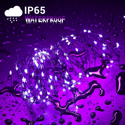 Joomer Purple Halloween Solar String Lights - 2 Pack Total 80FT 240LED Solar Fairy Lights, Waterproof Outdoor Twinkle Lights with 8 Modes for Garden, Porch, Trees, Halloween Decor (Black Wire)