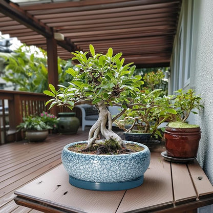 Large Succulent Planters - 13 Inch Ceramic Bonsai Pots with Drainage Hole and Saucer, Shallow Plant Pots Indoor Outdoor, Large Planter Bowl, Round Planter, Garden Decor, Gardening Gift, Blue