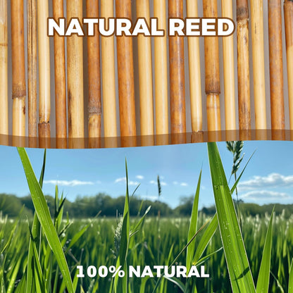 Natural Reed Fencing, Eco-Friendly Reed Fence, 4 feet High x 16.44 feet Long, Reed Screen for Backyard Patio Garden and More,Brown