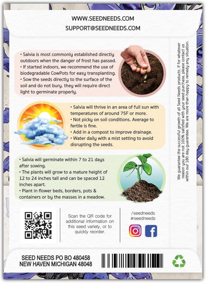 Seed Needs Sapphire Blue Sage Seeds for Planting - Heirloom & Open Pollinated Salvia - Grow a Butterfly Garden with Perennial Flowering Plants (2 Packs)