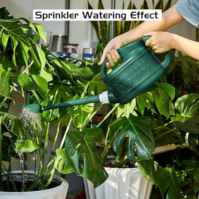 Plastic Watering Can for Indoor & Outdoor Plants 1 Gallon/4-Liter, Ebristar Watering Pot for Garden Flower with Long Spout and Removable 360 Degree Rotation Sprinkler Head - Dark Green