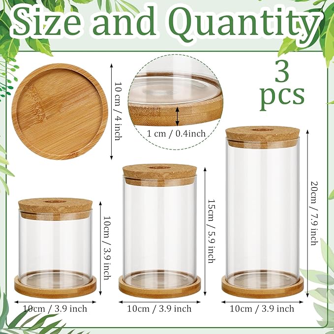 Maxcheck 3 Pcs 3 Sizes Plant Propagation Station Separated Glass Plant Terrarium Water Hydroponic Planter Holder with Lid and Wooden Stand Propagation Vase Pot for Home Indoor Office(Common Sizes)