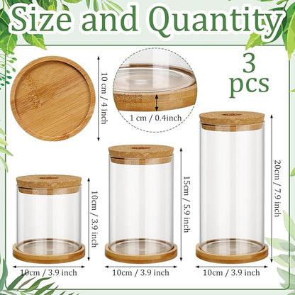 Maxcheck 3 Pcs 3 Sizes Plant Propagation Station Separated Glass Plant Terrarium Water Hydroponic Planter Holder with Lid and Wooden Stand Propagation Vase Pot for Home Indoor Office(Common Sizes)