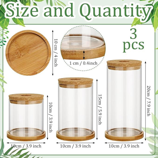 Maxcheck 3 Pcs 3 Sizes Plant Propagation Station Separated Glass Plant Terrarium Water Hydroponic Planter Holder with Lid and Wooden Stand Propagation Vase Pot for Home Indoor Office(Common Sizes)
