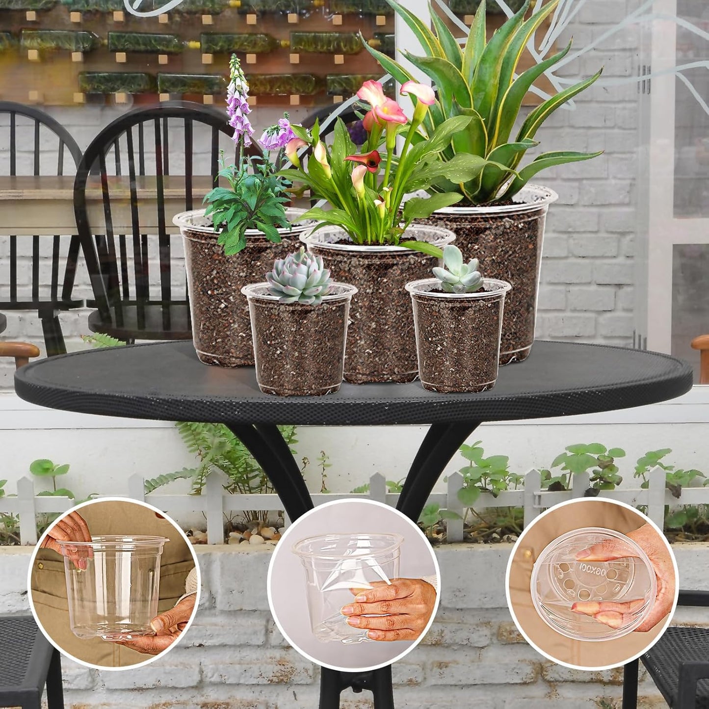60 Pack 3.5/4/5/6/7 Inch Clear Nursery Pots with Drainage Hole,Variety Sizes Seed Starting Pots Transparent Plastic Plant Pots for Plants Transparency with 50 Plant Labels