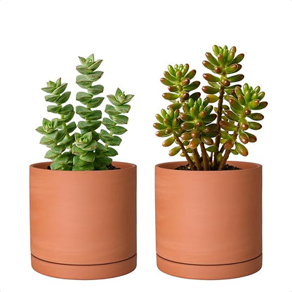 D'vine Dev Small 5 Inch Terracotta Plant Pot with Drainage Hole and Saucer, Round Cylinder Planter Pot for Indoor Plants, Set of 2, 40-X-B-2