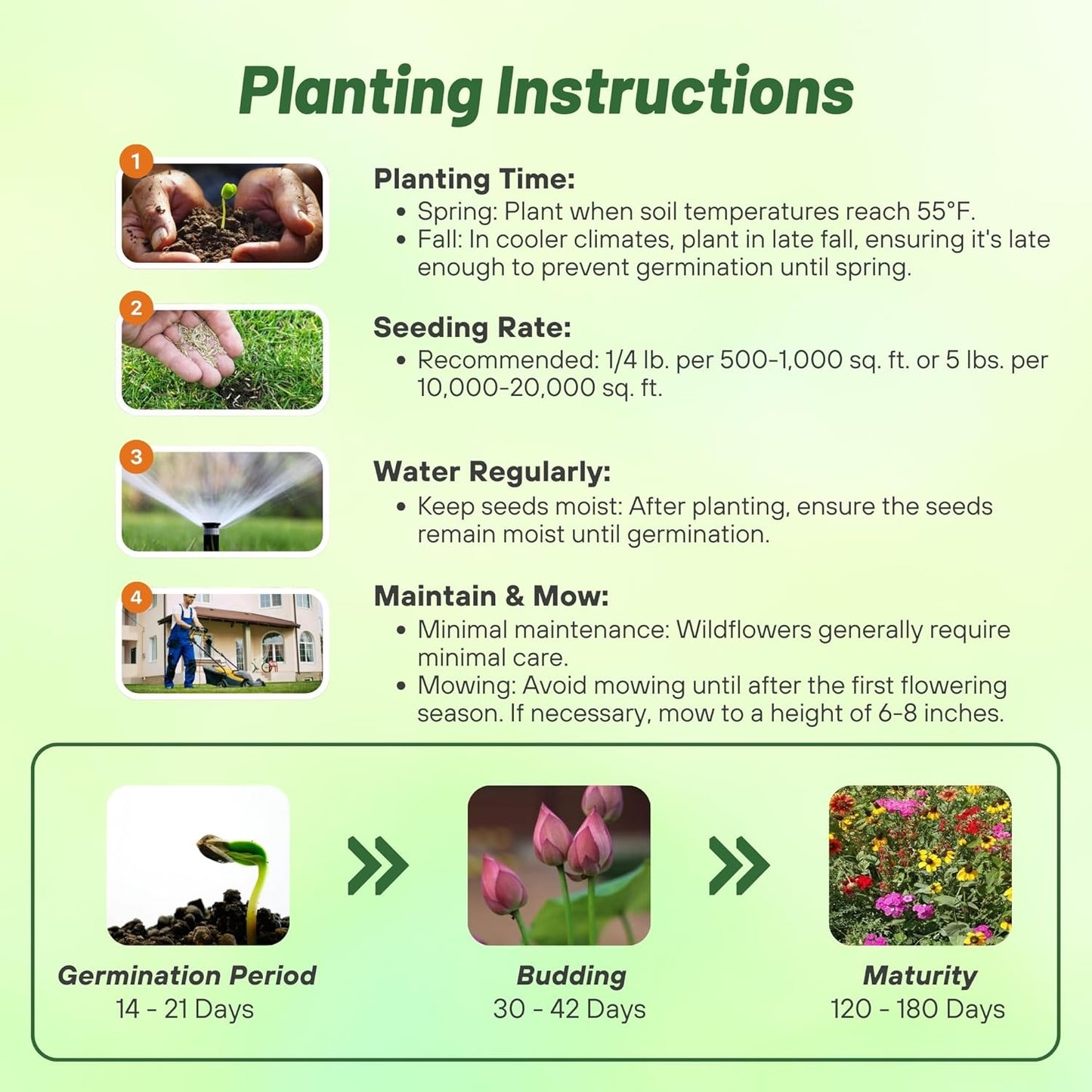 Outsidepride Southeast Wildflower Seed Mix - 1 lb Highly Adaptable, Easy to Grow, Low-Maintenance Mix of Annual & Perennial Wildflower Seeds for Natural Landscapes in Southeastern States