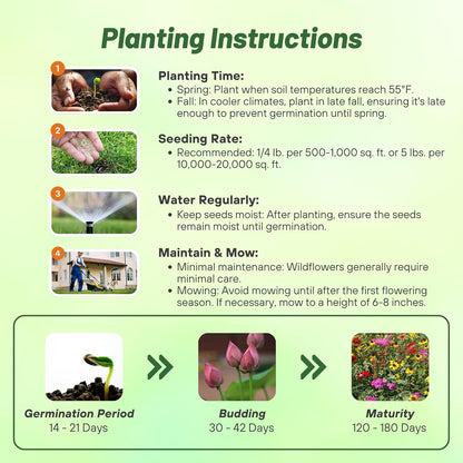 Outsidepride Southeast Wildflower Seed Mix - 1 lb Highly Adaptable, Easy to Grow, Low-Maintenance Mix of Annual & Perennial Wildflower Seeds for Natural Landscapes in Southeastern States