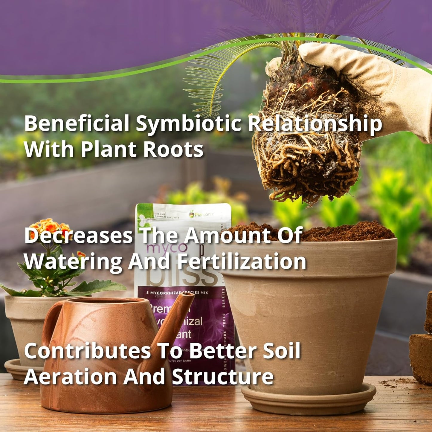 Myco Bliss Powder (5lbs) - Mycorrhizal Fungi for Soil - 5 Strain Mycorrhizal Inoculant with 1000 Propagules Per Gram - Highly Concentrated Mycorrhizae for Plants, Potting Soil, & Garden Soil