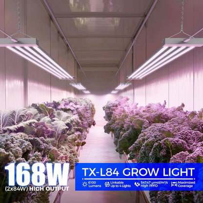 Barrina TX-L84 4FT Grow Light, 168W (2 x 84W), 4 LED Panels Wider Coverage, Full Spectrum, High PPFD, Linkable, Hanging Fixture, Plant Stand with Grow Light for Indoor, Seeding, Vegetable, 2 Packs