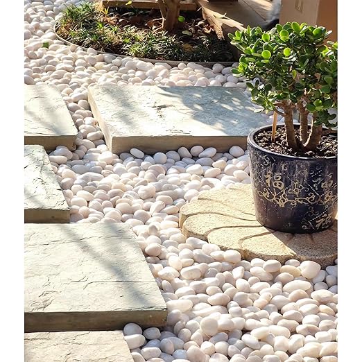 2 lbs Polished White Pebbles for Pebbles, 1-2 Inch Smooth White River Rocks for Plants Potted Vases Fillers Fish Tank Landscaping and Outdoor Garden Decorative Rocks
