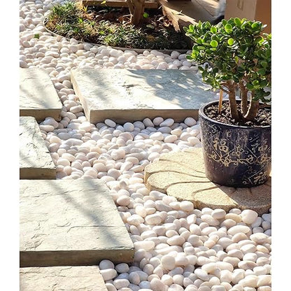 2 lbs Polished White Pebbles for Pebbles, 1-2 Inch Smooth White River Rocks for Plants Potted Vases Fillers Fish Tank Landscaping and Outdoor Garden Decorative Rocks