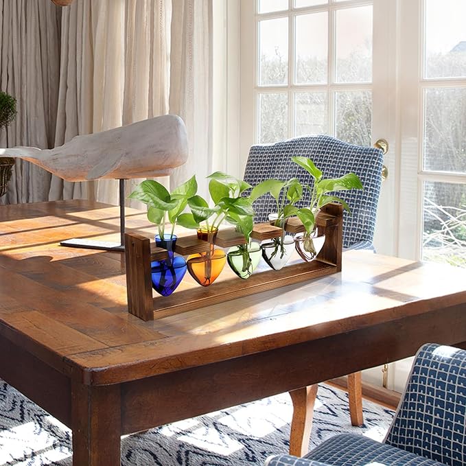 Plant Terrarium Hanging Propagation Stations Gift for Women Air Plants Holder with Wooden Stand Heart Glass