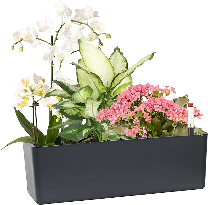 GardenBasix Elongated Self Watering Planter Pots Window Box 5.5 x 16 inch Indoor Home Garden Modern Decorative Planter Pot for All House Plants Flowers Herbs (Dark Grey,1-Pack)