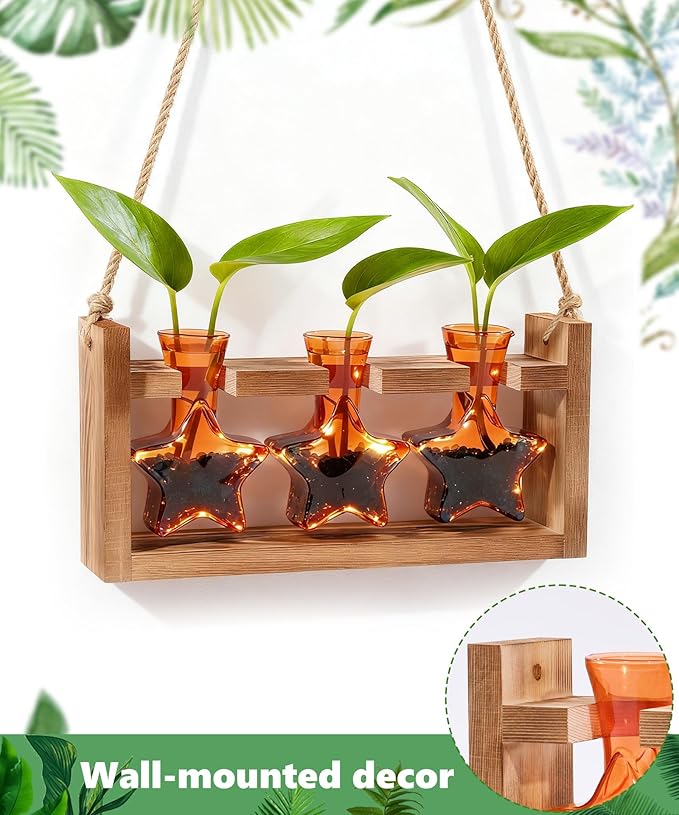 Nacome Star Glass Propagation Stations: Plant Terrarium with Wooden Stand Vase for Home Office Desk Decor, Unique Gifts for Plant Lovers Women Mom (Orange)