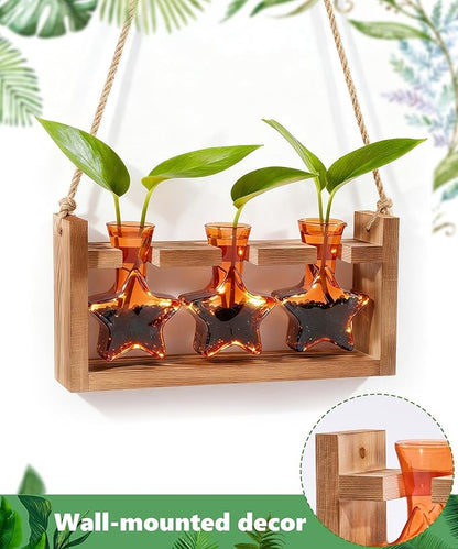 Nacome Star Glass Propagation Stations: Plant Terrarium with Wooden Stand Vase for Home Office Desk Decor, Unique Gifts for Plant Lovers Women Mom (Orange)
