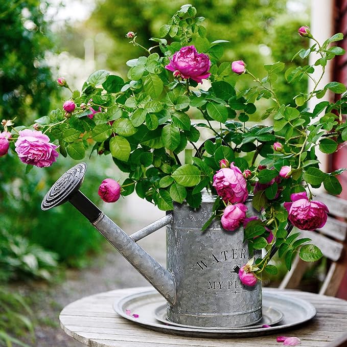 Galvanized Watering Can for Outdoor Indoor Plants, 1 Gallon Decorative Countryside Style Water Can with Removable Spout, Perfect Metal Watering Can for Indoor Plants and Garden Flower