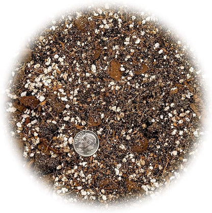 Gardenera Organic Banana Tree Soil Mix - Specially Designed for Thriving Banana Plants - Nutrient-Rich Blend for Healthy Root Development and Lush Foliage (2 Quart)